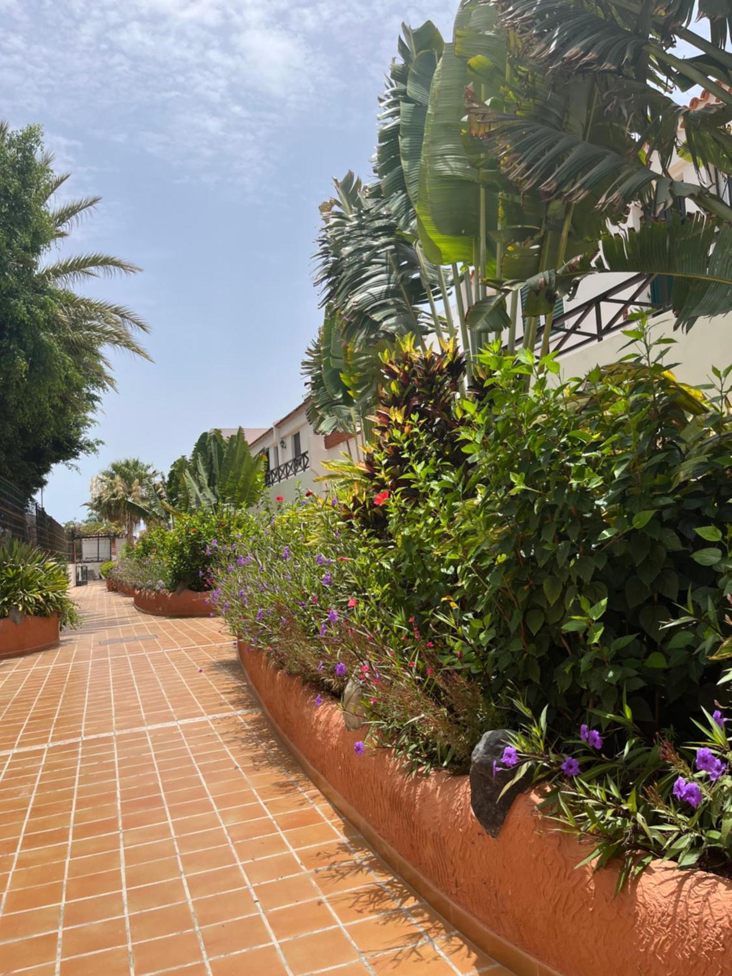 Casa Parque Don Jose 2 Apartment Costa Del Silencio Exterior photo