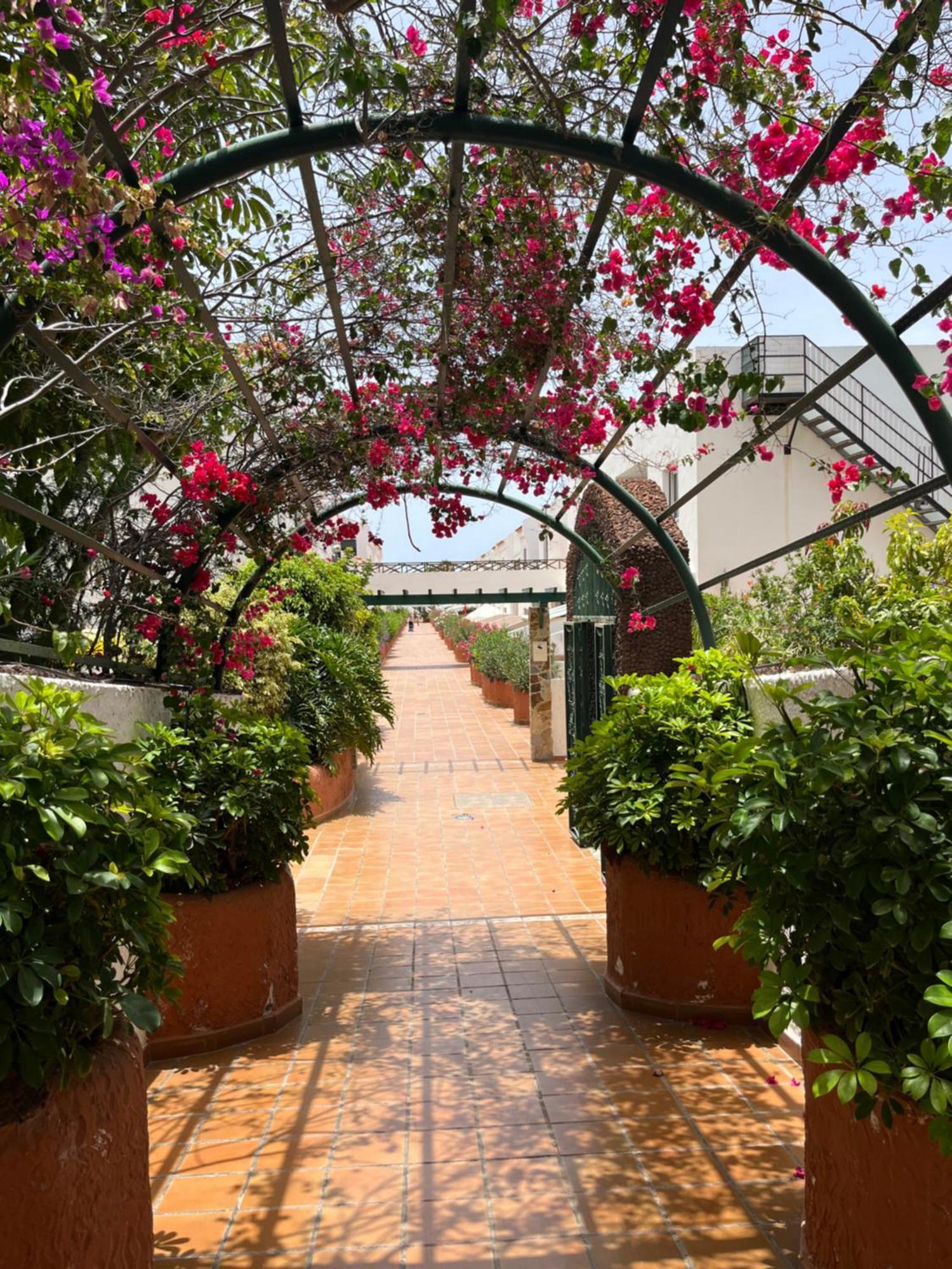 Casa Parque Don Jose 2 Apartment Costa Del Silencio Exterior photo